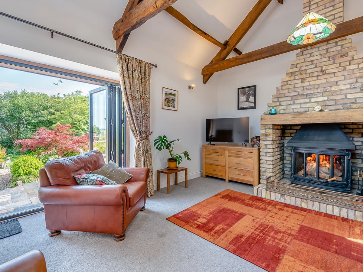 Vaulted living room with log fire